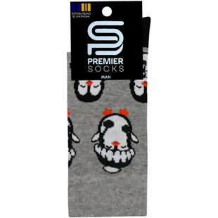 Шкарпетки чоловічі Premier Socks 556 1 пара з малюнком 42-43р. C-009 фото
